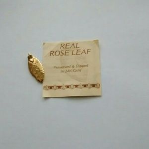 Image thumbnail 2